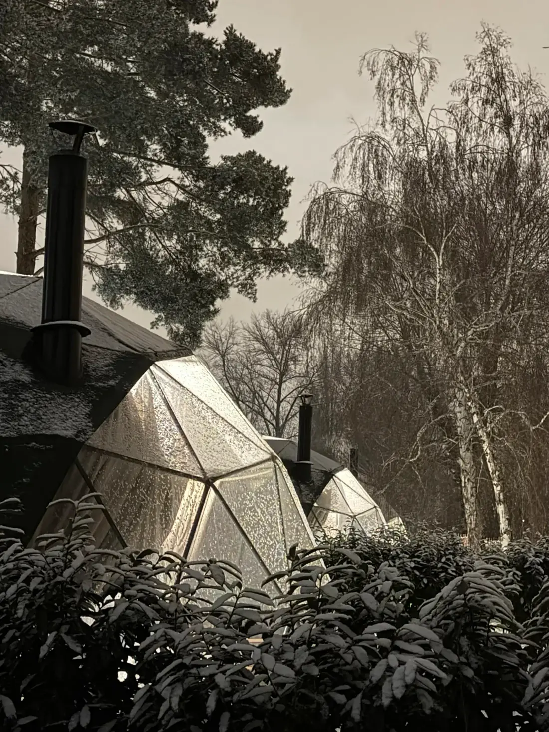 Two Prague City Glamping domes under hoarfrost between birch trees