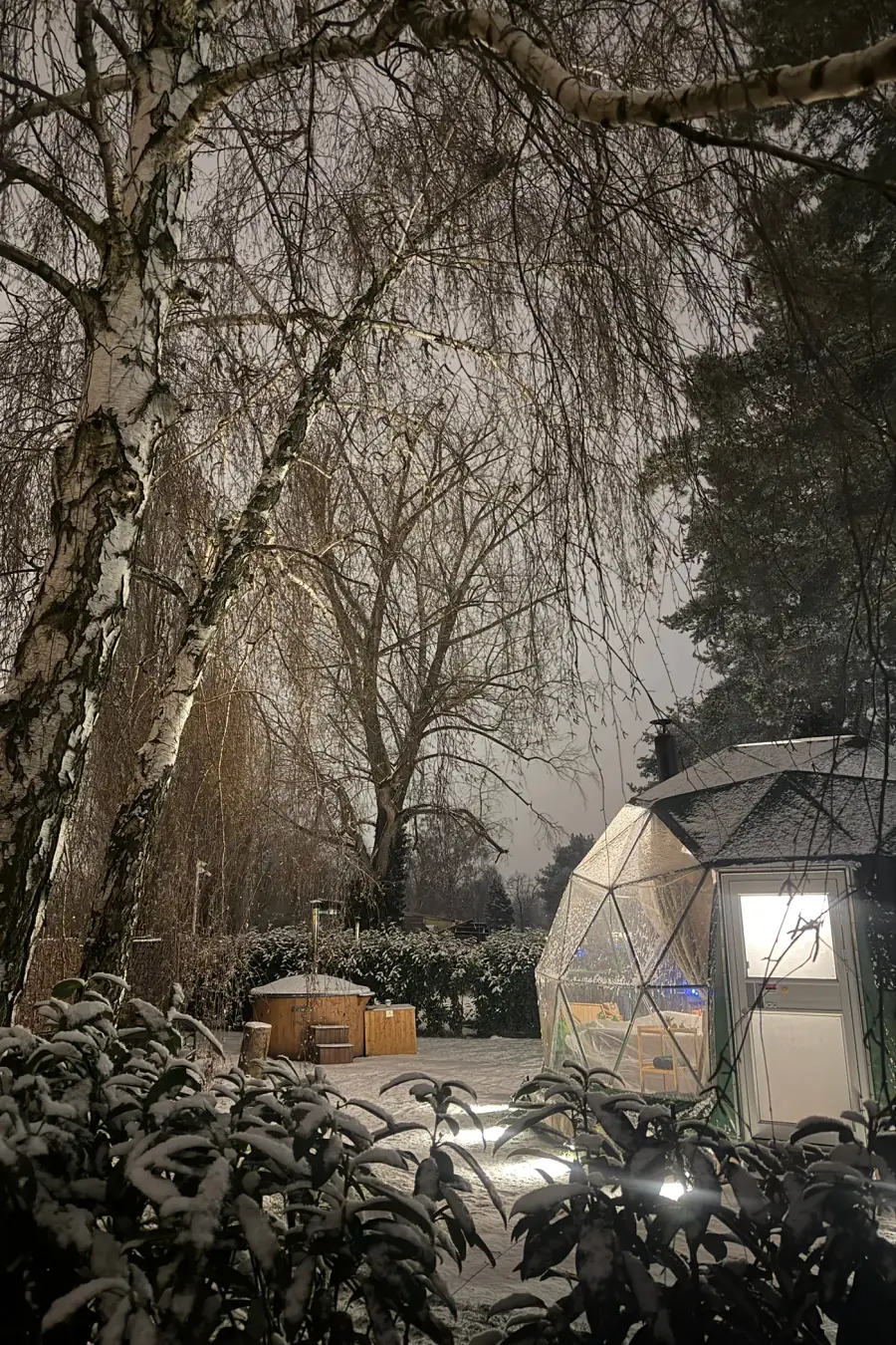 Geodesic dome surrounded by birches in winter — Prague City Glamping stays open year-round